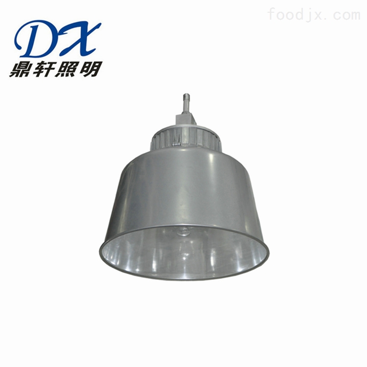 LNGC9850高效场馆仓库高顶灯250W