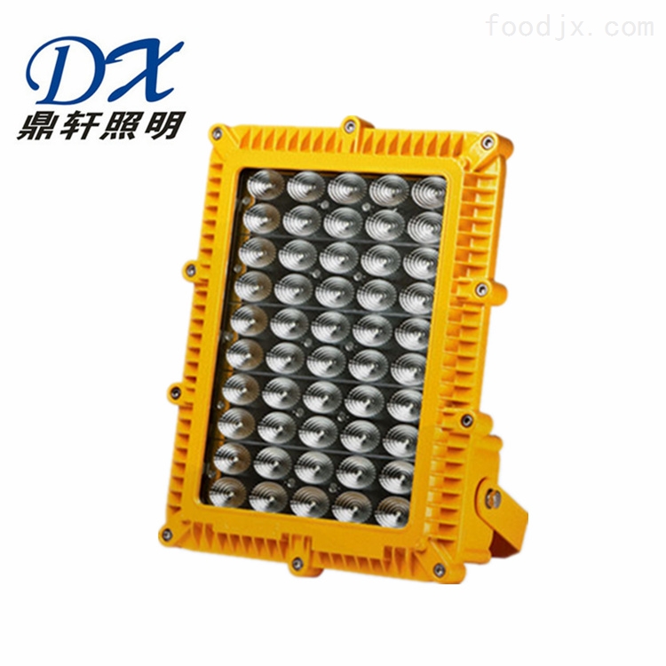 LBFC8160A-30W/60W加油站LED防爆泛光灯
