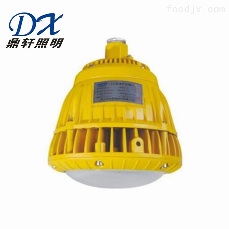 ZAD104-40W加气站LED免维护防爆灯鼎轩照明