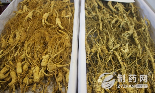 一机多用的破壁机 为中药饮片行业带来新的增长点