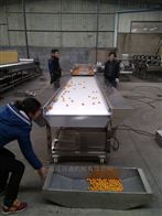 定做食品大米糧食輸送設備 皮帶輸送機