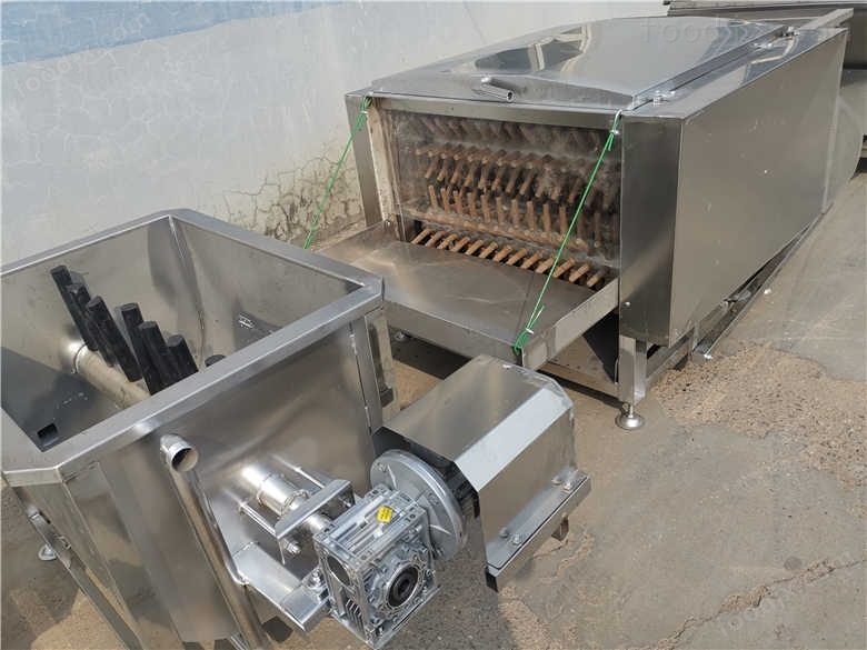 全自動淘汰蛋雞脫毛機
