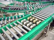 網(wǎng)帶輸送線