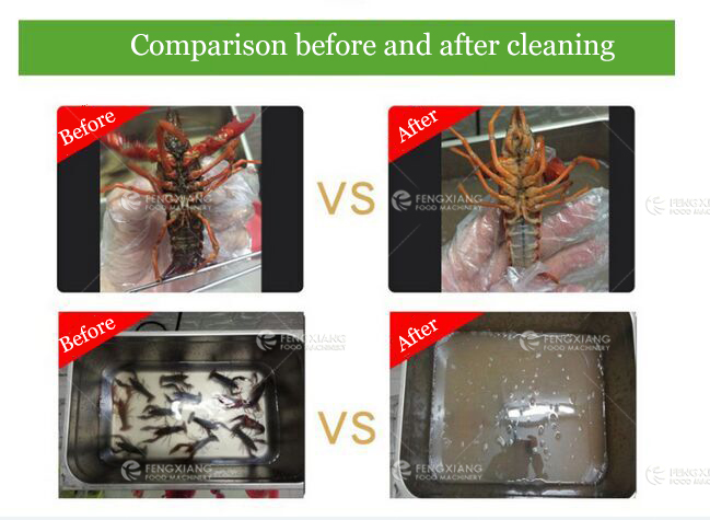 虾蟹水海产品叶菜果蔬超声波清洗机