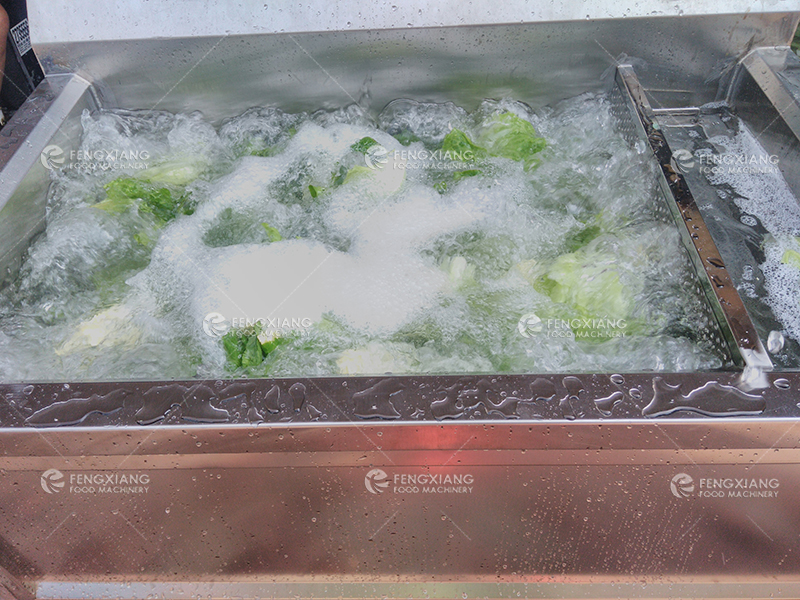 虾蟹水海产品叶菜果蔬超声波清洗机